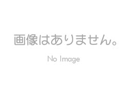 ABC BRK031 ランチア Delta Presentation