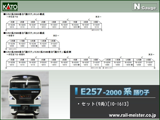 KATO E257系2000番台 踊り子 9両セット[10-1613]【訳あり商品】