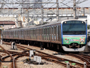 レールクラフト阿波座 相模鉄道11000系「三代目そうにゃんトレイン」インレタ[RCA-IN39]