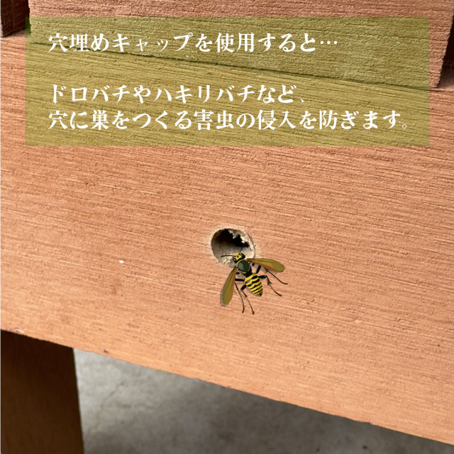 デッキ連結穴キャップ