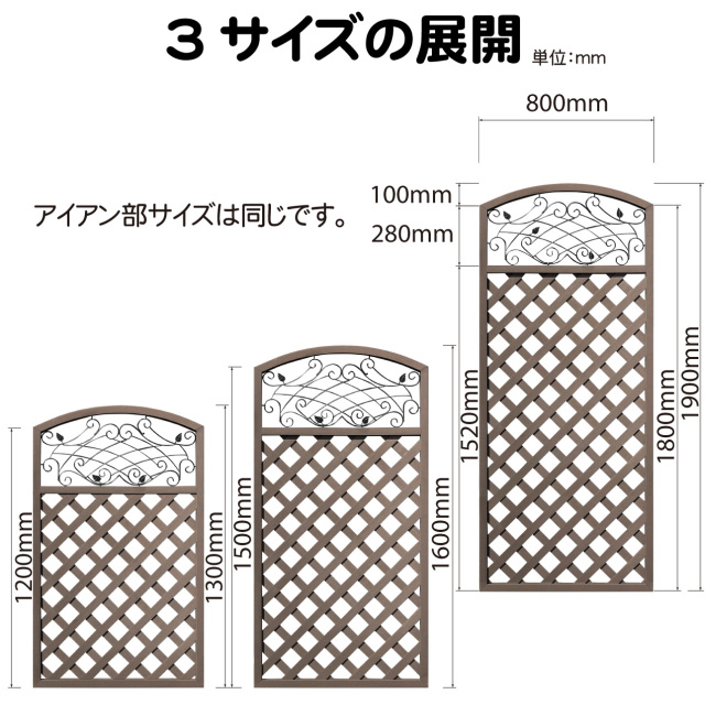 iron-desc01.jpg?t=20250507142856