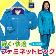 ファミネットピックターコイズ