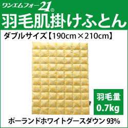 ホルミシス　岩盤浴　アンチエイジング　遠赤外線　マイナスイオン　美容　健康