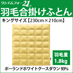 ホルミシス　岩盤浴　アンチエイジング　遠赤外線　マイナスイオン　美容　健康