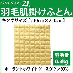 ホルミシス　岩盤浴　アンチエイジング　遠赤外線　マイナスイオン　美容　健康