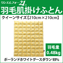 ホルミシス　岩盤浴　アンチエイジング　遠赤外線　マイナスイオン　美容　健康
