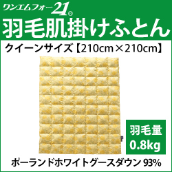 ホルミシス　岩盤浴　アンチエイジング　遠赤外線　マイナスイオン　美容　健康