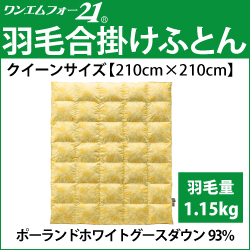 ホルミシス　岩盤浴　アンチエイジング　遠赤外線　マイナスイオン　美容　健康