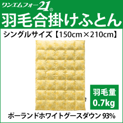 ホルミシス　岩盤浴　アンチエイジング　遠赤外線　マイナスイオン　美容　健康