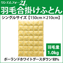 ホルミシス　岩盤浴　アンチエイジング　遠赤外線　マイナスイオン　美容　健康