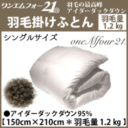 アイダー 自律神経 不眠 冷え 冷え症 低体温 ホルミシス 遠赤外線 マイナスイオン 低線量放射線 体温 ラジウム 温泉 ラドン 免疫力 体温