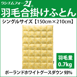 ホルミシス　岩盤浴　アンチエイジング　遠赤外線　マイナスイオン　美容　健康
