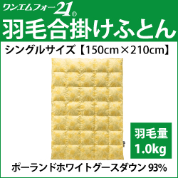 ホルミシス　岩盤浴　アンチエイジング　遠赤外線　マイナスイオン　美容　健康