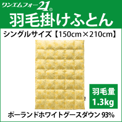 ホルミシス　岩盤浴　アンチエイジング　遠赤外線　マイナスイオン　美容　健康