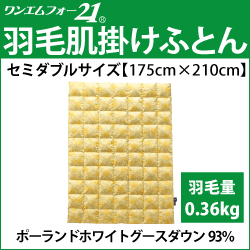 ホルミシス　岩盤浴　アンチエイジング　遠赤外線　マイナスイオン　美容　健康