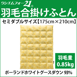 ホルミシス　岩盤浴　アンチエイジング　遠赤外線　マイナスイオン　美容　健康