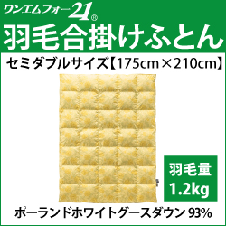 ホルミシス　岩盤浴　アンチエイジング　遠赤外線　マイナスイオン　美容　健康