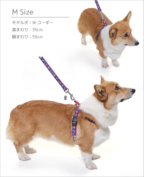 【メール便のみ送料無料】ラロック アミット ツービーハーネス Mサイズ 中型犬用ハーネス (メール便可 ギフト包装可)