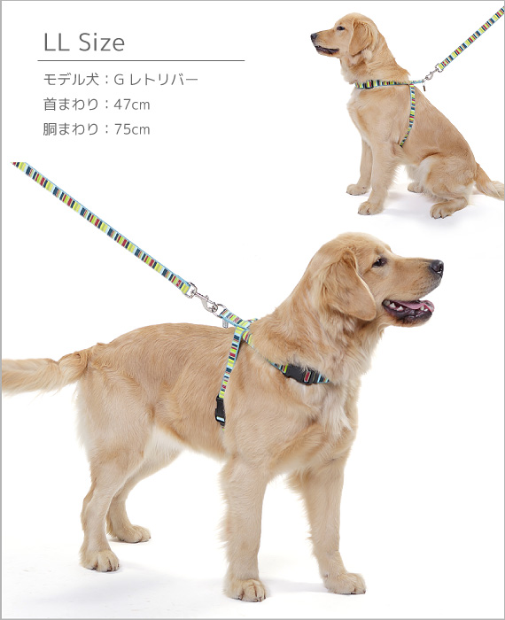 【メール便のみ送料無料】ラロック アミット ツービーハーネス Mサイズ 中型犬用ハーネス (メール便可 ギフト包装可)