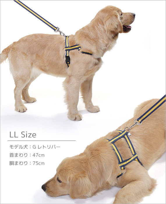 【メール便のみ送料無料】ラロック MBD スリーディ ハーネス Mサイズ 中型犬用ハーネス (メール便可 ギフト包装可)