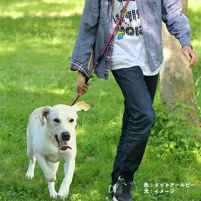 【メール便のみ送料無料】ラロック フリースタイル丸リード L 中・大型犬用リード (1個までメール便可 ギフト包装可)