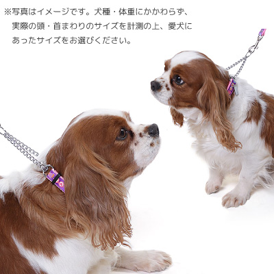 【メール便のみ送料無料】ラロック アミット しつけに便利おしゃれなハーフチェーンカラー SSサイズ 超小型犬用しつけ首輪 (メール便可 ギフト包装可)