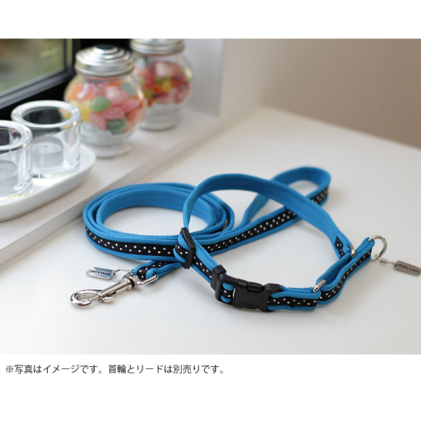 【メール便のみ送料無料】ラロック アミット ドットソフト ハーフチョークカラー バックル付き Sサイズ 小型犬用しつけ首輪 (メール便可 ギフト包装可)