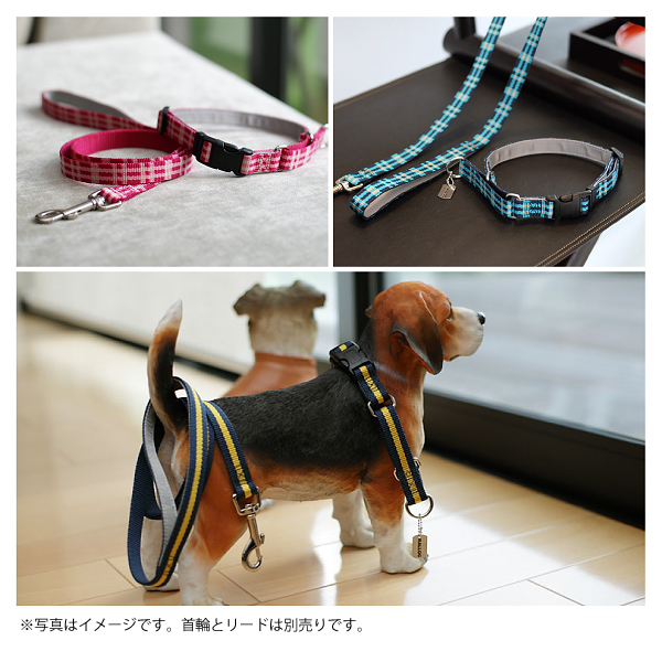 【メール便のみ送料無料】ラロック MBD ハーフチョークカラー バックル付き Lサイズ 大型犬用しつけ首輪 (メール便可)