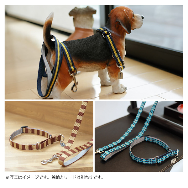 【メール便のみ送料無料】ラロック MBD ハーフチョークカラー Mサイズ 中型犬用しつけ首輪 (メール便可 ギフト包装可)