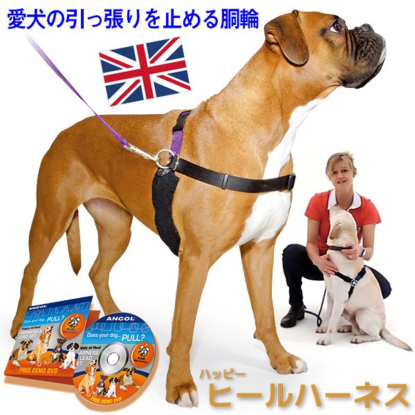 引っ張り防止 ラロック ハッピーヒールハーネス リード＆DVD付き 愛犬の引っ張りを止めるトレーニングハーネス 犬用しつけハーネス
