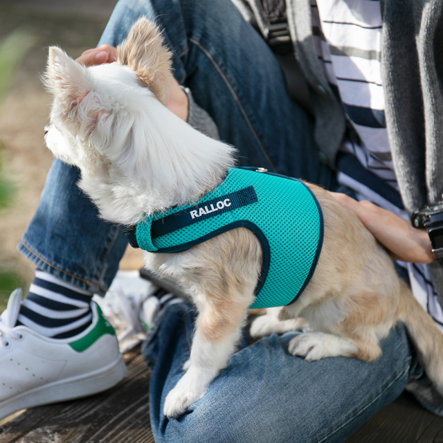 メローラ（melora）　ペッカリー　ネイビー　サイズ6.5 着用1回 メリカジ ストライプベストハーネス ペティオ 犬用胴輪 S