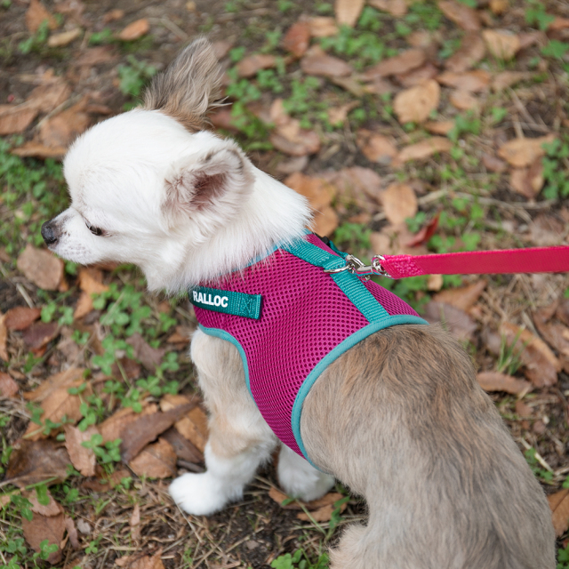 ラロック シンプルベストハーネス メッシュ 超小型犬用・小型犬