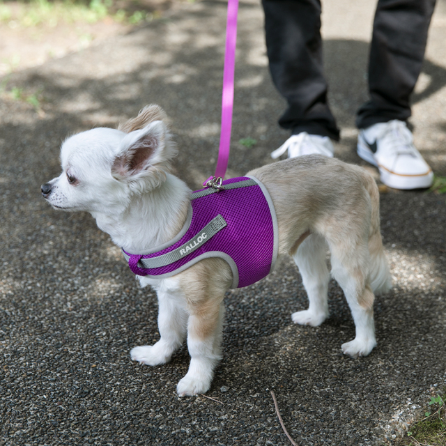 ラロック シンプルベストハーネス メッシュ 超小型犬用・小型犬用ハーネス