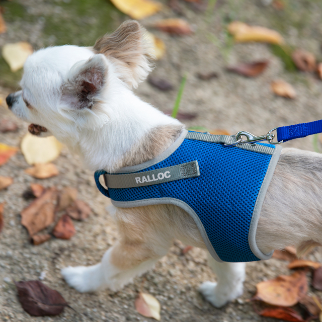 犬 ハーネス Lサイズ 小型犬 リード付 ペット ブルー メッシュ 散歩用 犬 ハーネス Lサイズ 小型犬 リード付 ペット ブルー メッシュ 散歩用