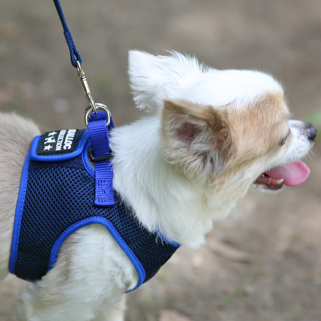 ラロック シンプルメッシュハーネス SS・S・Mサイズ 超小型犬用