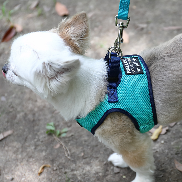 ラロック シンプルメッシュハーネス SS・S・Mサイズ 超小型犬用