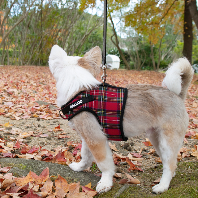 小型犬 ハーネス ベスト型 赤 ギンガムチェック Mサイズ ハンドメイド ラロック シンプルベストハーネス ファッション 超小型犬用・小型犬用