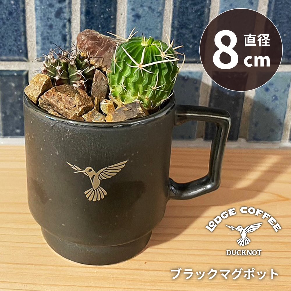 ビンテージ　マクドナルド　コーヒーポット Vintage McDonald's Restaurant McCafe Glass Coffee Pot With