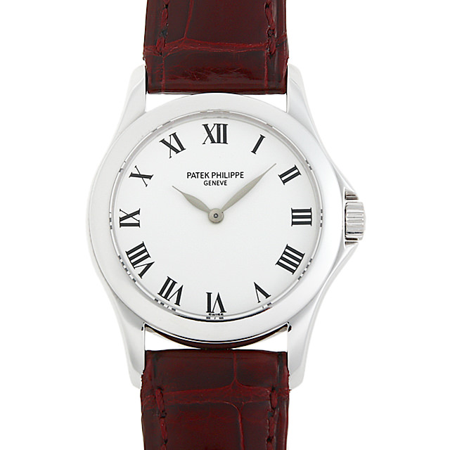 カラトラバ 4905G メイン画像