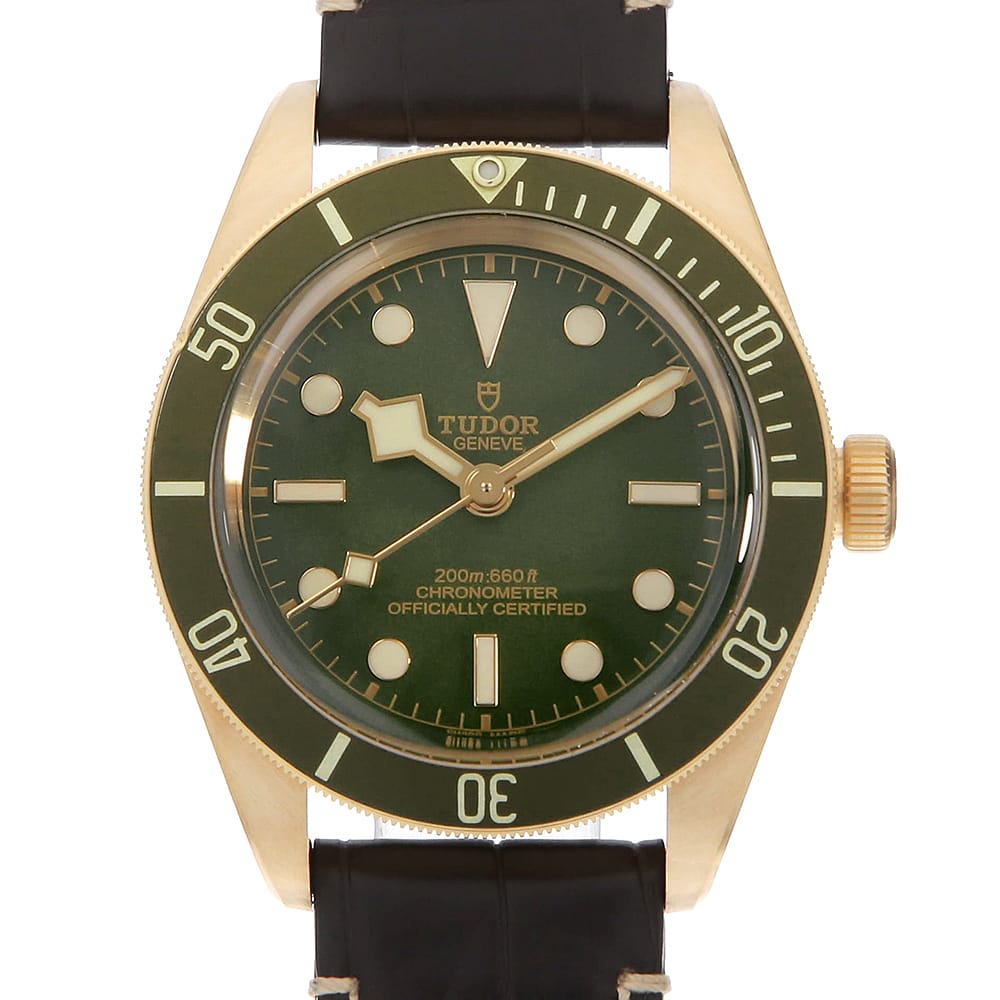 TUDOR Black Bay 79018V Men's Used