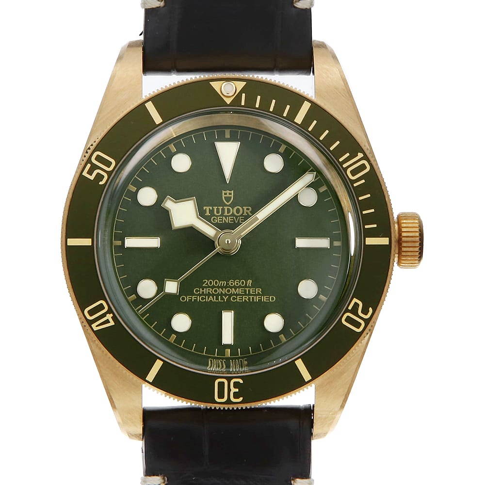 TUDOR Black Bay 79018V Men's Used