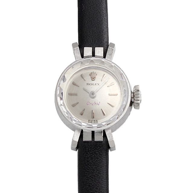 オーキッド 2254 メイン画像