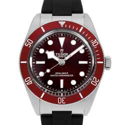 79030N ブラック TUDOR（チューダー）ブラックベイ58 中古 | 東京 