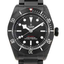 79010SG グレー TUDOR（チューダー）ブラックベイ58 925 中古 | 東京
