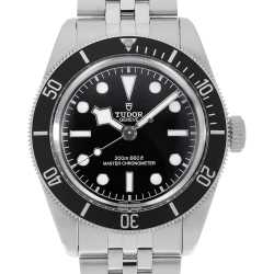 79030N ブラック TUDOR（チューダー）ブラックベイ58 中古 | 東京