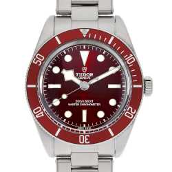 7941A1A0RU ブラック TUDOR（チューダー）ブラックベイ 中古 | 東京