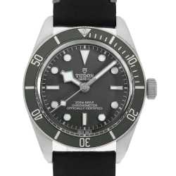 79018V グリーン TUDOR（チューダー）ブラックベイ58 フィフティエイト