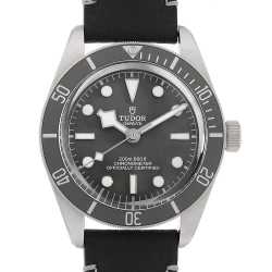 79010SG グレー TUDOR（チューダー）ブラックベイ58 925 中古 | 東京