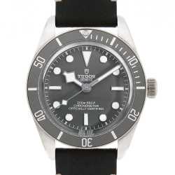79010SG グレー TUDOR（チューダー）ブラックベイ58 925 中古 | 東京