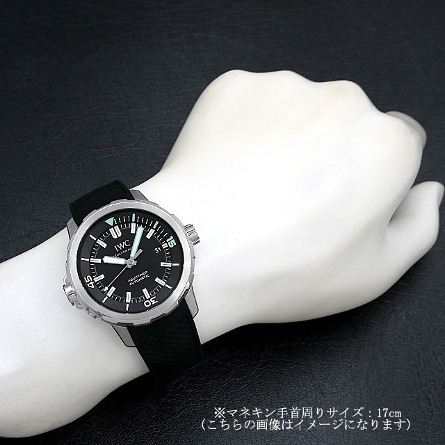 アクアタイマー オートマティック IW329001 サブ画像４
